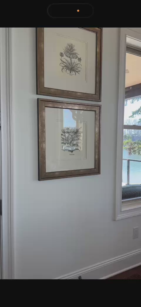 Customer video
